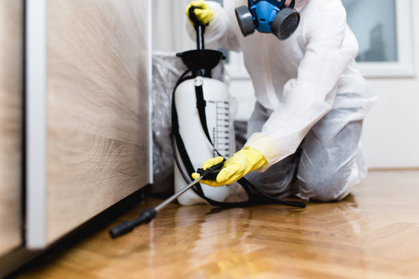 Best Local Pest Control Services  in Eatonville, WA