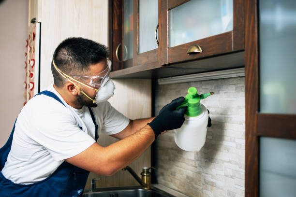 Best Emergency Pest Control  in Eatonville, WA