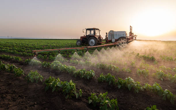 Best Mosquito Control Services  in Eatonville, WA