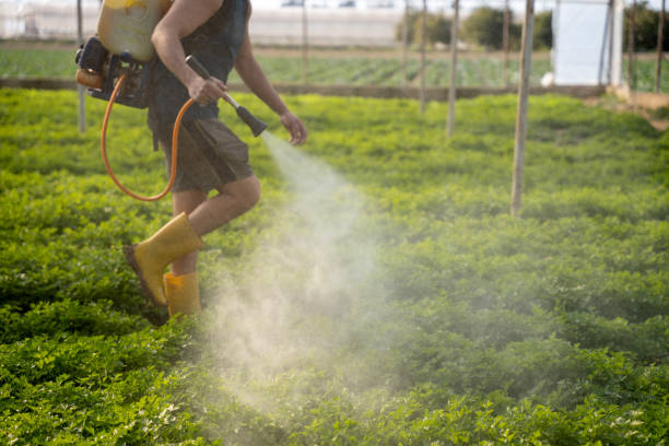 Best Affordable Pest Control Services  in Eatonville, WA