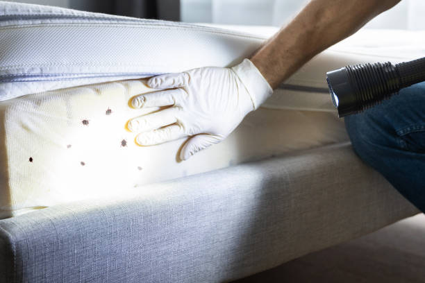 Best Commercial Pest Control Services  in Eatonville, WA