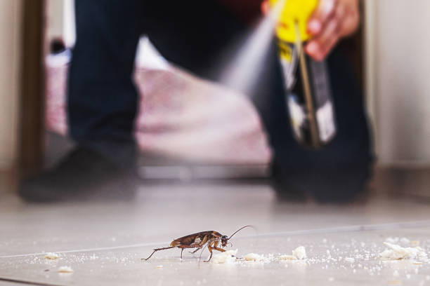 Best Wildlife Control Services  in Eatonville, WA