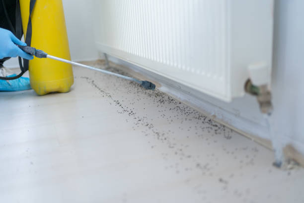 Best Best Pest Control Companies  in Eatonville, WA