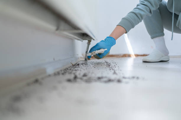 Best Ant Control Services  in Eatonville, WA