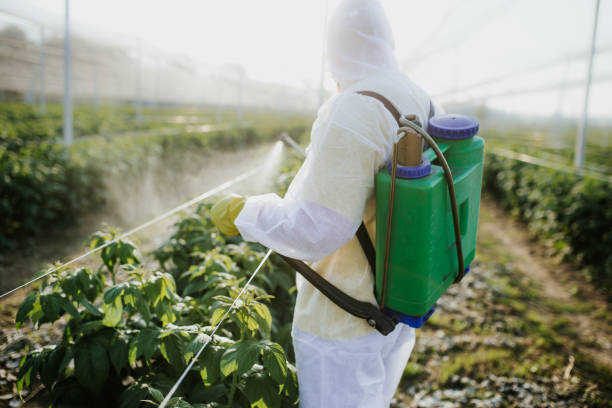 Eatonville, WA Pest Control Company
